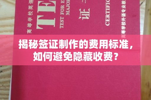 临安揭秘签证制作的费用标准，如何避免隐藏收费？