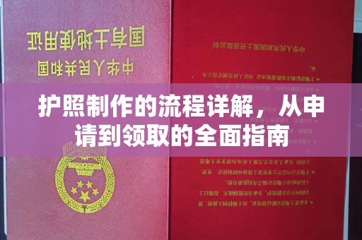 临安护照制作的流程详解，从申请到领取的全面指南