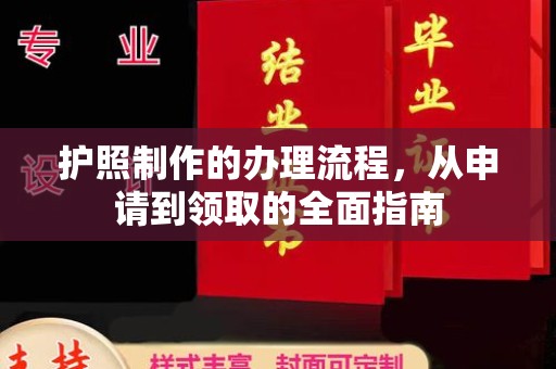 临安护照制作的办理流程，从申请到领取的全面指南