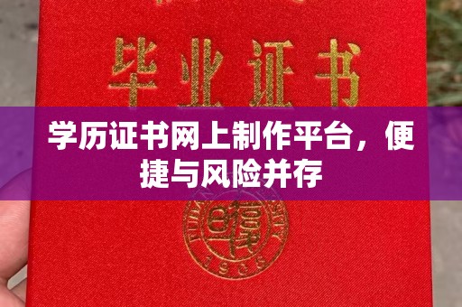 临安学历证书网上制作平台，便捷与风险并存