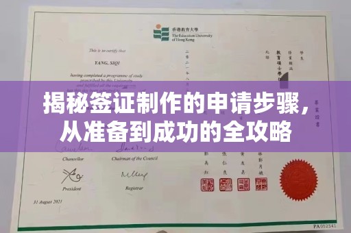 临安揭秘签证制作的申请步骤，从准备到成功的全攻略