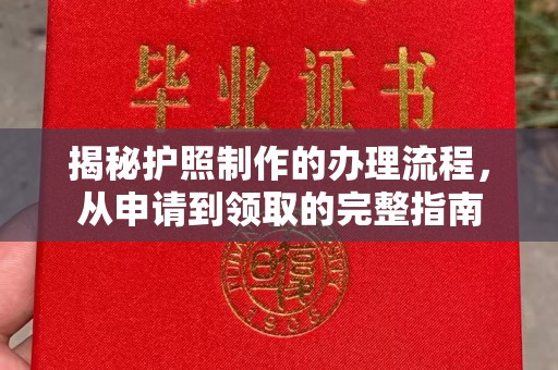 临安揭秘护照制作的办理流程，从申请到领取的完整指南