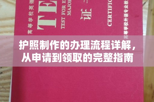 临安护照制作的办理流程详解，从申请到领取的完整指南