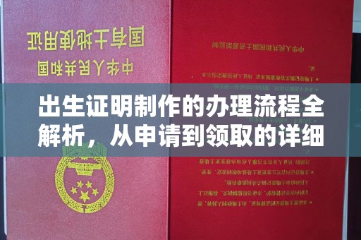 临安出生证明制作的办理流程全解析，从申请到领取的详细指南